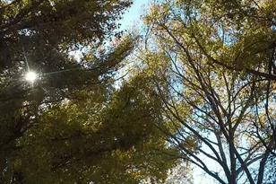 12070 W Kelton Ln, Skull Valley, AZ 86338 - Photo 7