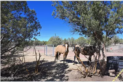 2445 N Luana Drive, Williams, AZ 86046 - Photo 13