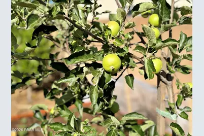 7039 N Clear Sky Court, Prescott Valley, AZ 86315 - Photo 45