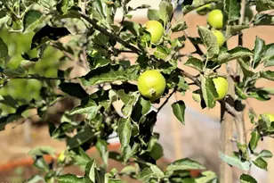 7039 N Clear Sky Ct, Prescott Valley, AZ 86315 - Photo 45