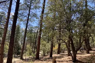 020E Vulture Bend Dr, Prescott, AZ 86305 - Photo 1