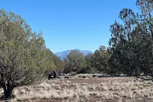 8520 W Ajo Jogger Trail, Ash Fork, AZ 86320 - Photo 37