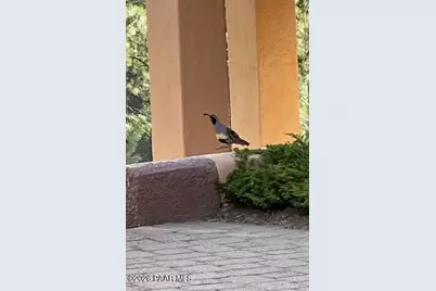 1448 Cathedral Pines Drive, Prescott, AZ 86303 - Photo 63