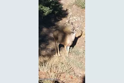 1448 Cathedral Pines Drive, Prescott, AZ 86303 - Photo 61