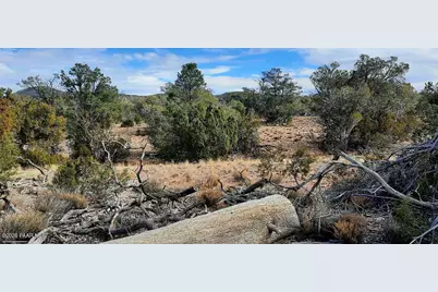 36875 W Aventura Nueva Road, Seligman, AZ 86337 - Photo 23