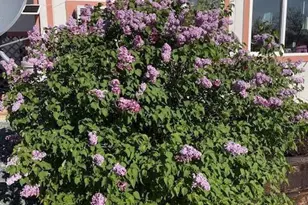 20921 E Sky View Ln, Mayer, AZ 86333 - Photo 45