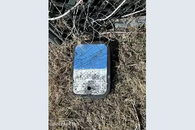 16614 W Shrine Drive, Yarnell, AZ 85362 - Photo 9