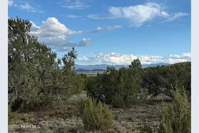 44 County Road 8097, Concho, AZ 85924 - Photo 1