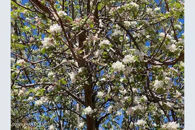 1672 Eagle Rock, Prescott, AZ 86301 - Photo 21