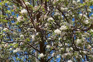 1672 Eagle Rock, Prescott, AZ 86301 - Photo 21