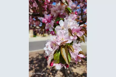 6361 Andover Lane, Prescott Valley, AZ 86314 - Photo 23