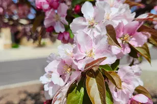 6361 Andover Ln, Prescott Valley, AZ 86314 - Photo 23