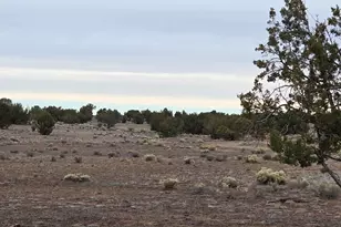 214 Juniper Woods, Ash Fork, AZ 86320 - Photo 1