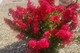 5236 Autumn Leaf Ln, Prescott, AZ 86301 - Photo 27