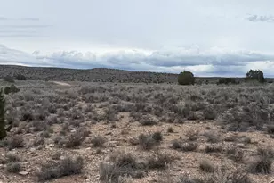 25672 N Lopez Dr, Paulden, AZ 86334 - Photo 1