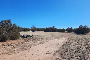 53845 N Cedar Dr, Seligman, AZ 86337 - Photo 35