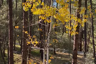 1677 Coyote Rd, Prescott, AZ 86303 - Photo 17