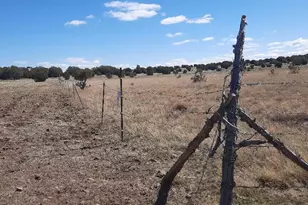 Xxxx Six Shooter Trail, Williams, AZ 86337 - Photo 15