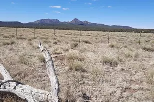 Xxxx Six Shooter Trail, Williams, AZ 86337 - Photo 11