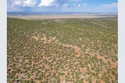 35575 W Pale Moon Road, Seligman, AZ 86337 - Photo 37