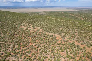 35575 W Pale Moon Rd, Seligman, AZ 86337 - Photo 37