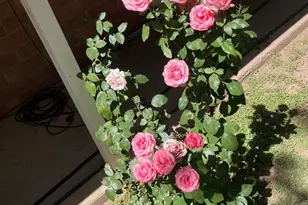 11432 W Southern Ave, Tolleson, AZ 85353 - Photo 27