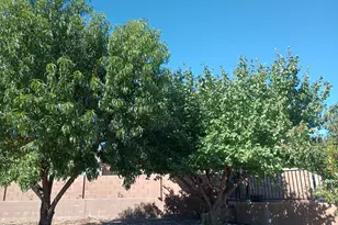 5614 N Ardmore Ave, Prescott Valley, AZ 86314 - Photo 25