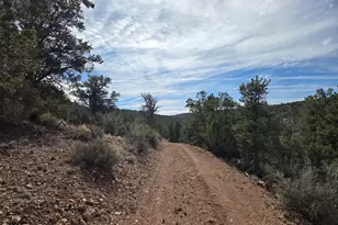 38125 N Snake Rd, Ash Fork, AZ 86320 - Photo 25