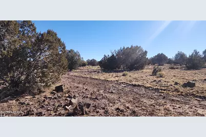 251 Se4 Juniperwood Ranch, Ash Fork, AZ 86320 - Photo 9