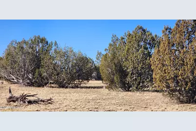 251 Se4 Juniperwood Ranch, Ash Fork, AZ 86320 - Photo 3