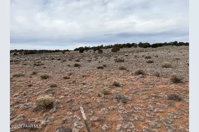 389 Rocky Top Road, Seligman, AZ 86337 - Photo 3