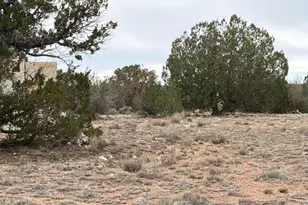 389 Rocky Top Rd, Seligman, AZ 86337 - Photo 1