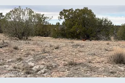 389 Rocky Top Road, Seligman, AZ 86337 - Photo 15