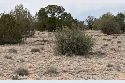 389 Rocky Top Road, Seligman, AZ 86337 - Photo 11