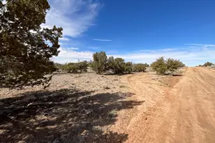 Tbd N7102, Saint Johns, AZ 85936 - Photo 1