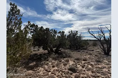 Tbd N7102, Saint Johns, AZ 85936 - Photo 3