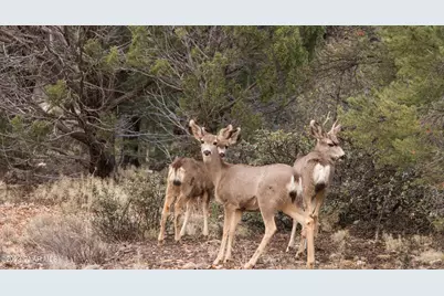 395 Bandit Ridge Road, Prescott, AZ 86305 - Photo 21