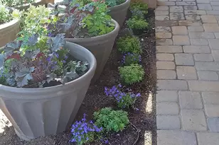 1621 Spruce Canyon Dr, Prescott, AZ 86303 - Photo 41