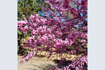 1621 Spruce Canyon Drive, Prescott, AZ 86303 - Photo 39