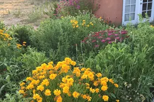 1327 E Granite Creek Ln, Chino Valley, AZ 86323 - Photo 37