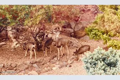 4552 Hornet Drive, Prescott, AZ 86301 - Photo 73