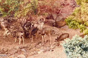 4552 Hornet Dr, Prescott, AZ 86301 - Photo 73