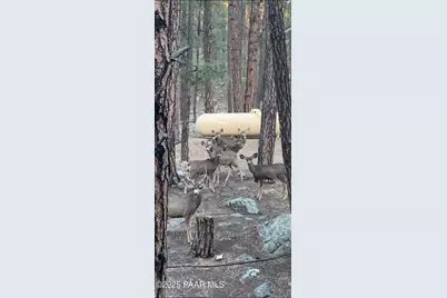 5865 S Walker Road, Prescott, AZ 86303 - Photo 41