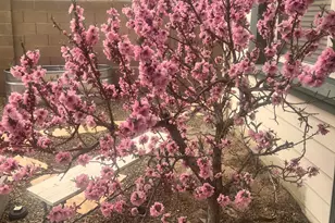 7550 E Trader's Trail, Prescott Valley, AZ 86314 - Photo 29