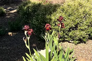 7550 E Trader's Trail, Prescott Valley, AZ 86314 - Photo 27