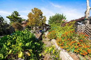 17827 S Tawny Ln, Peeples Valley, AZ 86332 - Photo 57