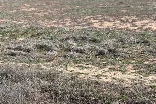 375 W Guymas (2 Lots) Trail, Paulden, AZ 86334 - Photo 1