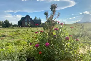 1740 W Bumblebee Dr, Chino Valley, AZ 86323 - Photo 39