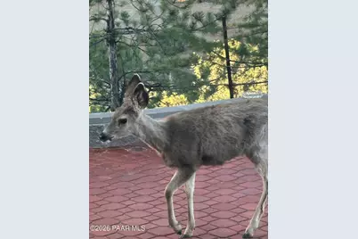 1375 N Overlook Drive, Dewey-Humboldt, AZ 86327 - Photo 3