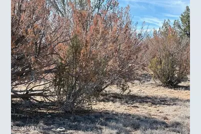 58102 Bridge Canyon Road, Seligman, AZ 86337 - Photo 11